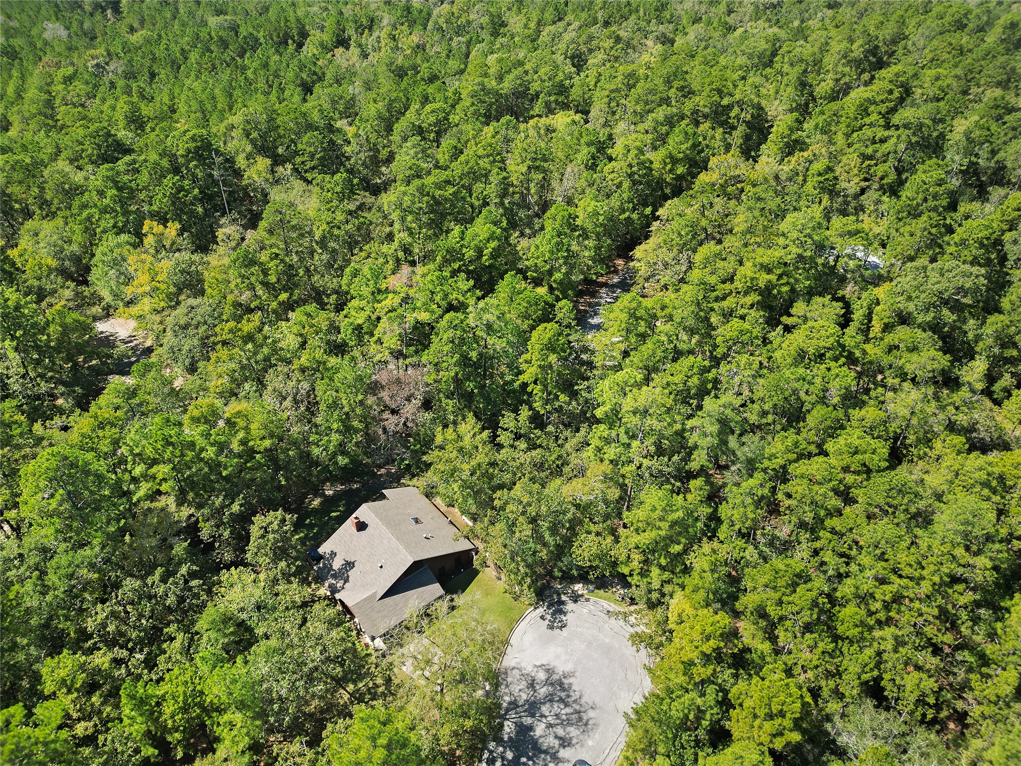 26709 Maple Court Oakhurst, TX 77359 - Photo 7 of 9 an aerial view of a house with a yard and garden