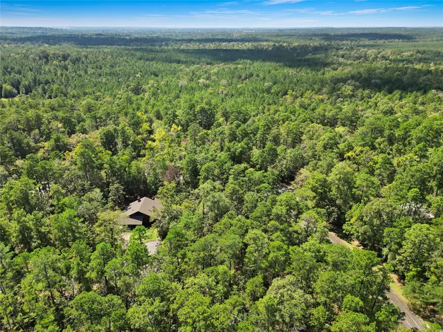 a view of a bunch of trees with a yard