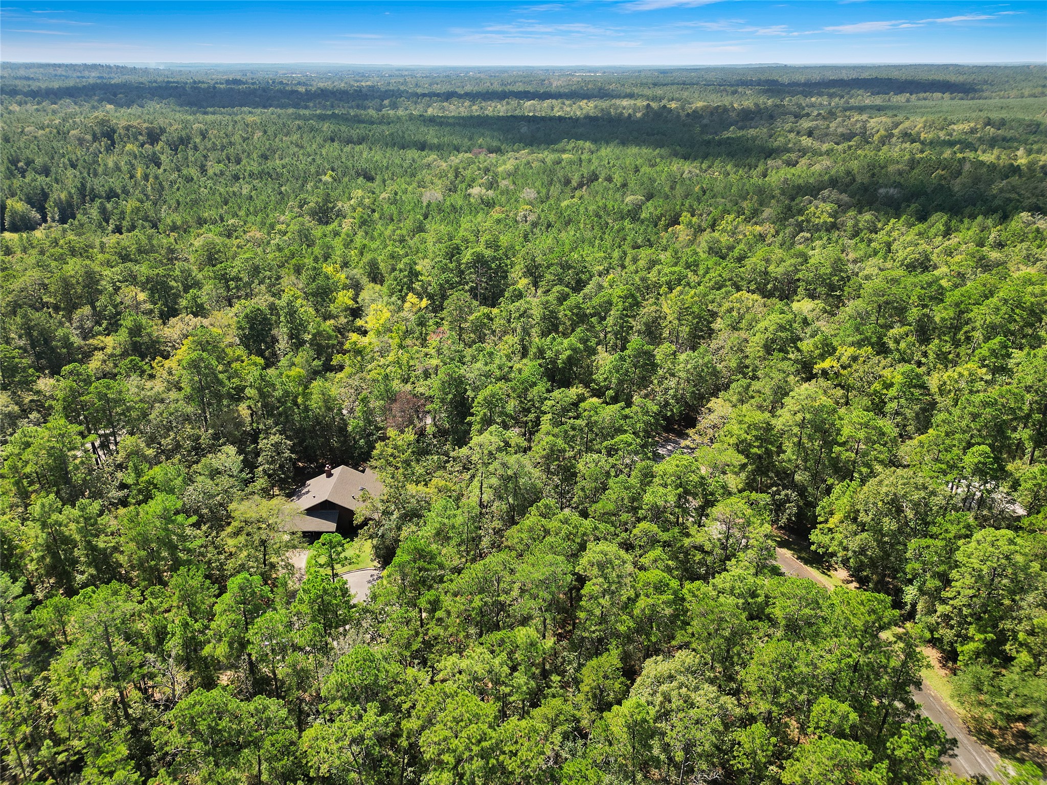 26709 Maple Court Oakhurst, TX 77359 - Photo 8 of 9 a view of a bunch of trees with a yard