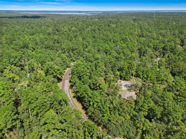 a view of a green field with lots of bushes