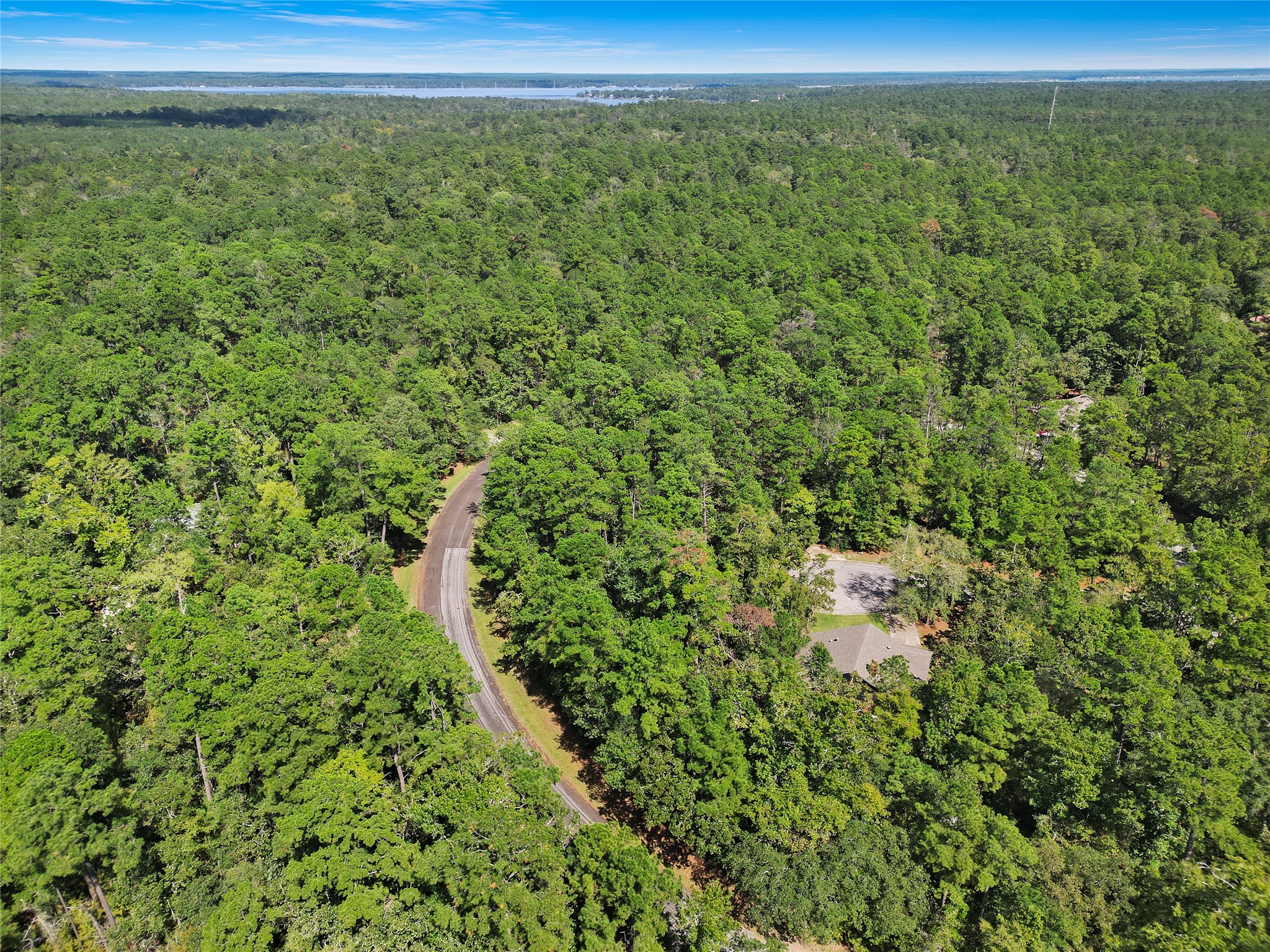 26709 Maple Court Oakhurst, TX 77359 - Photo 9 of 9 a view of a green field with lots of bushes