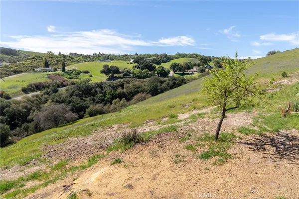 a view of a yard with mountains in the background