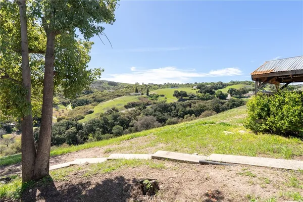 a view of a yard with an trees