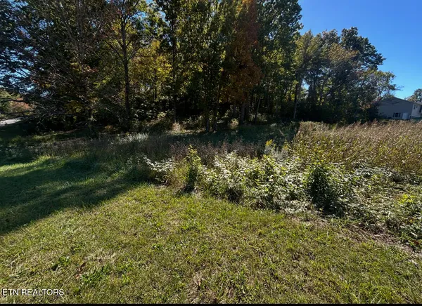 $49,900 | Lot 1 Cherokee Cove, Rutledge, TN 37861