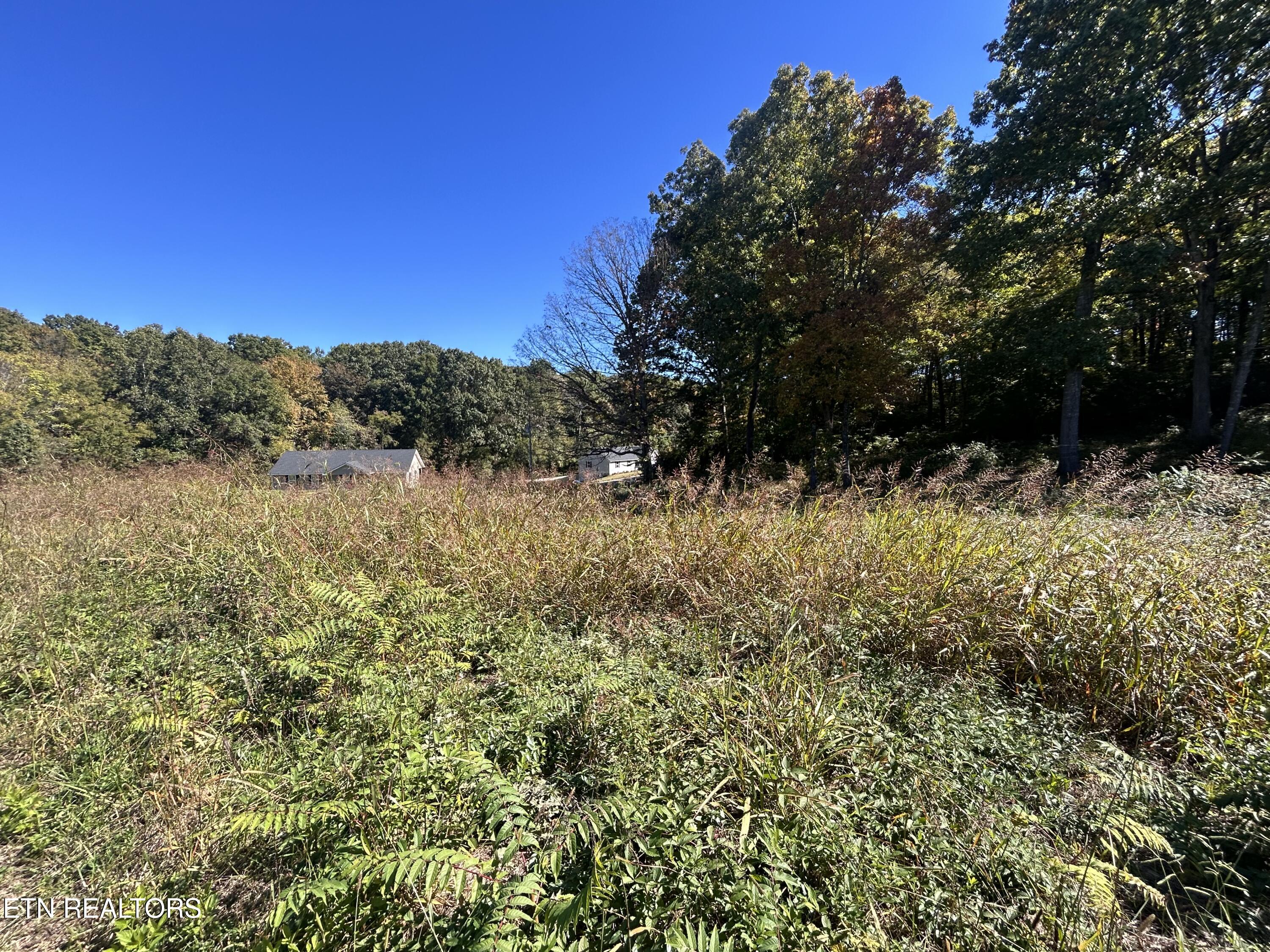 Lot 1 Cherokee Cove Rutledge, TN 37861 - Photo 5 of 6 IMG_1156