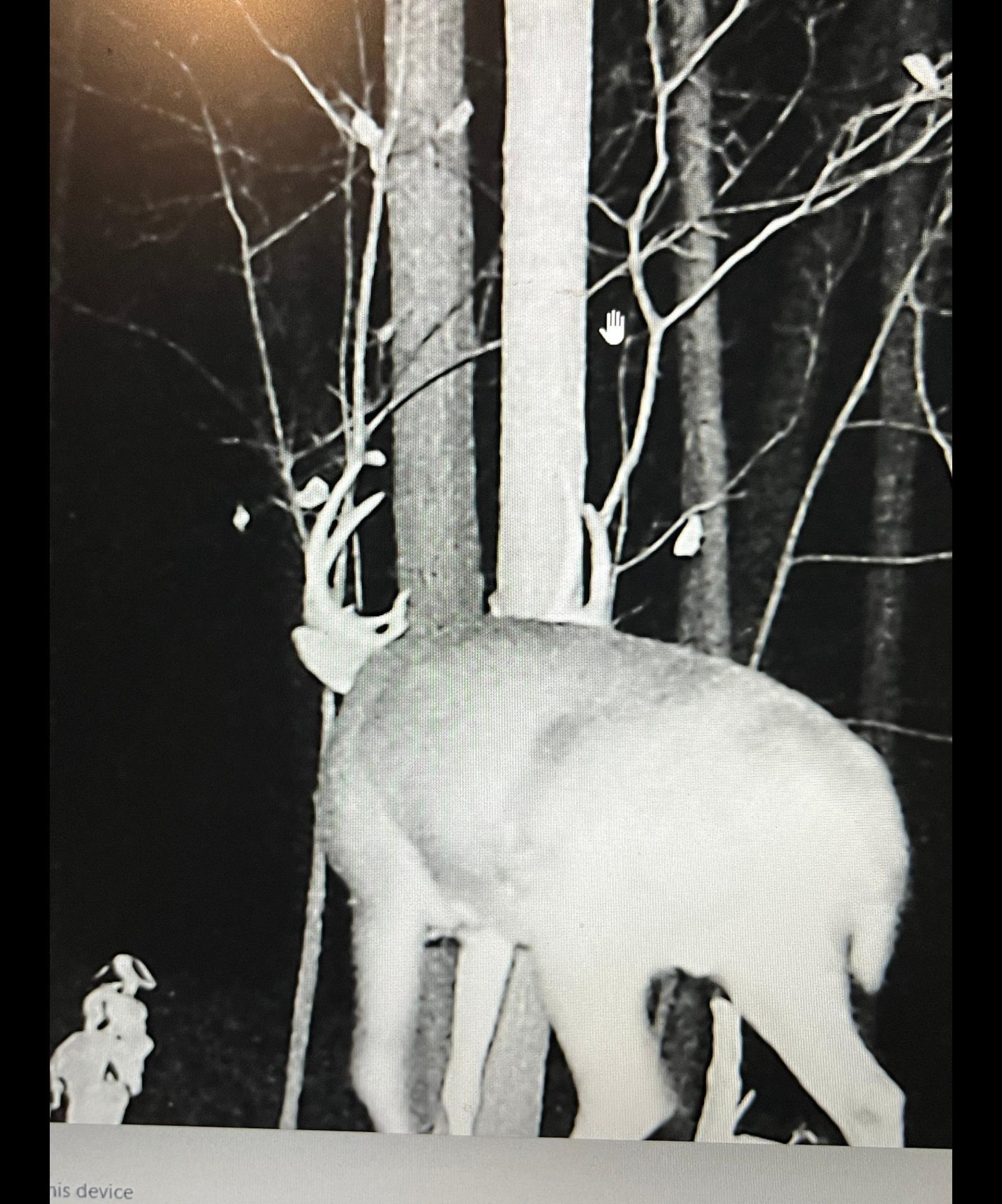 Tbd Tbd Tbd Mazeppa, MN 55956 - Photo 13 of 14