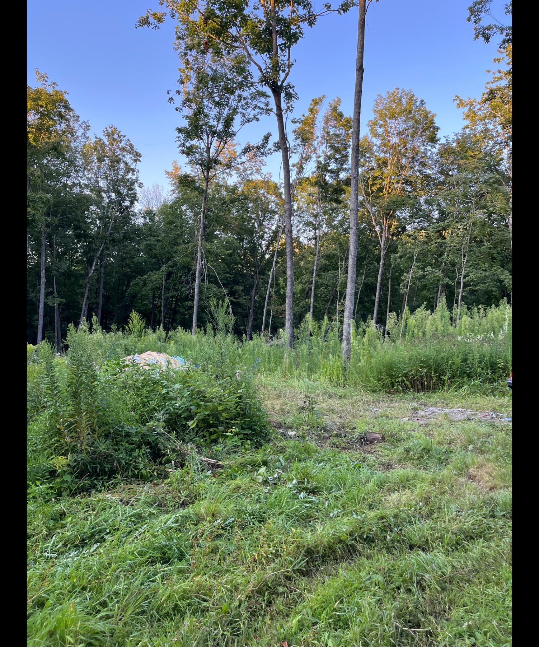 Tbd Tbd Tbd Mazeppa, MN 55956 - Photo 6 of 14