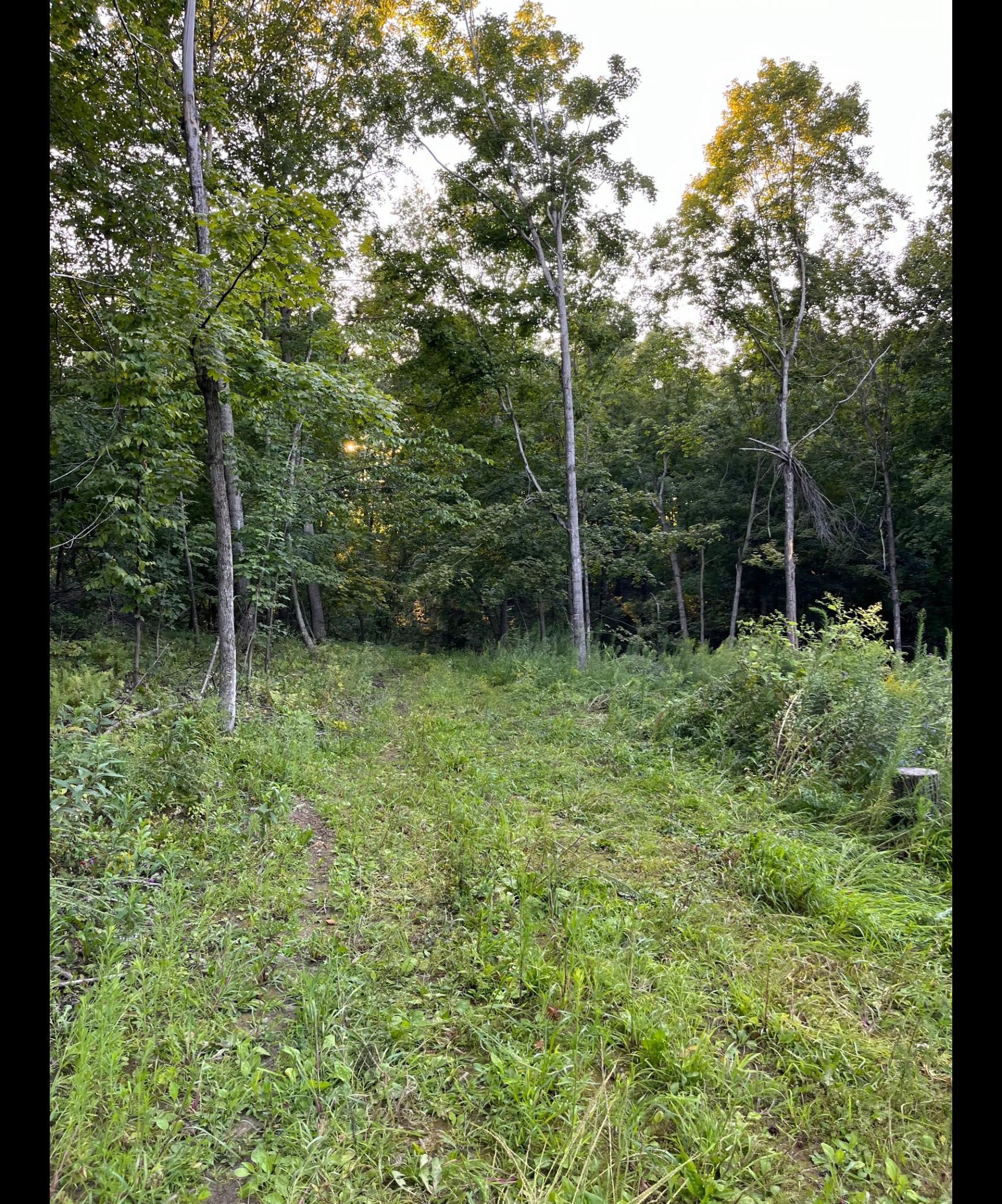 Tbd Tbd Tbd Mazeppa, MN 55956 - Photo 6 of 9