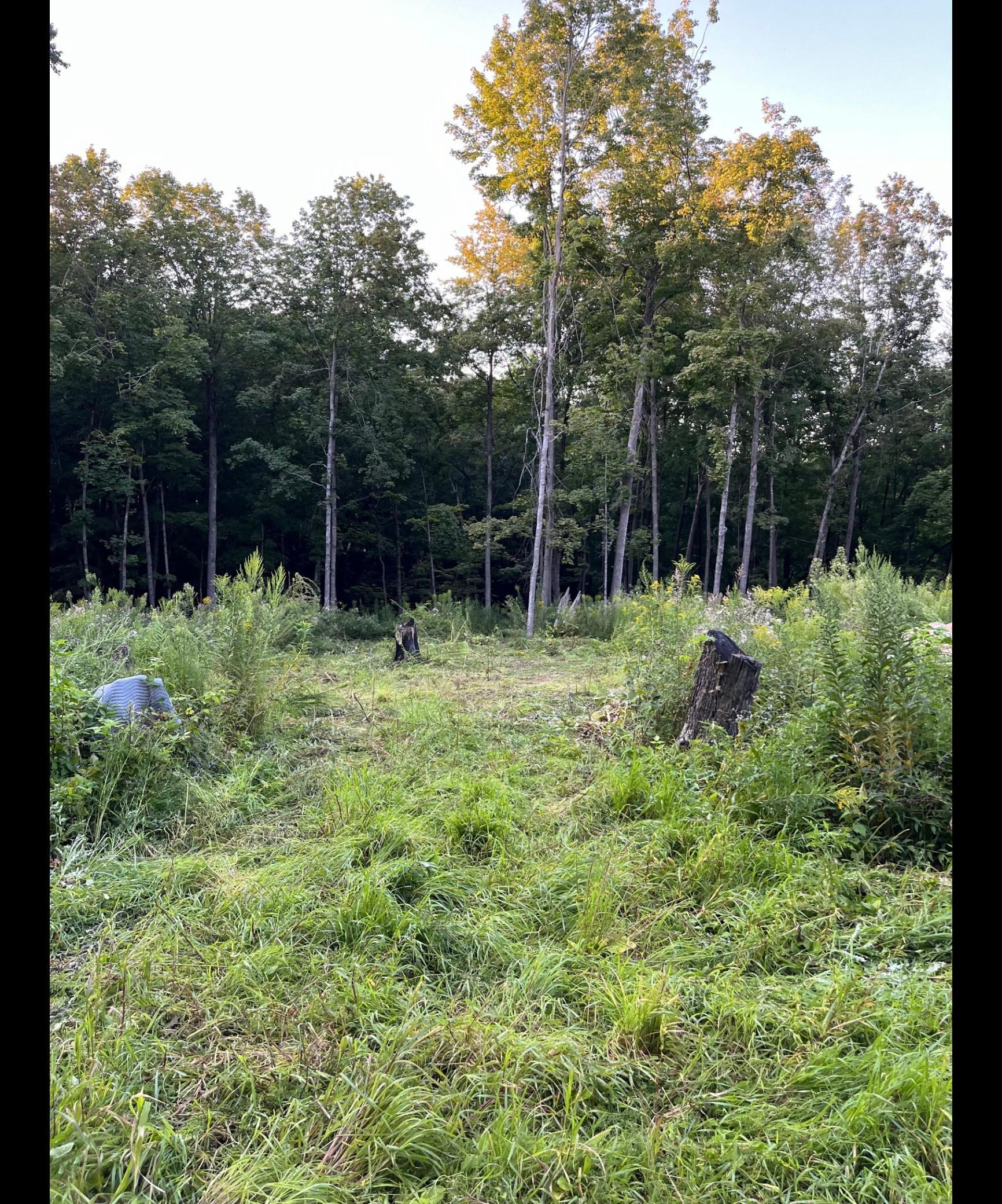 Tbd Tbd Tbd Mazeppa, MN 55956 - Photo 7 of 14