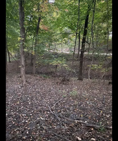 $179,990 | Tbd Tbd Tbd, Mazeppa, MN 55956