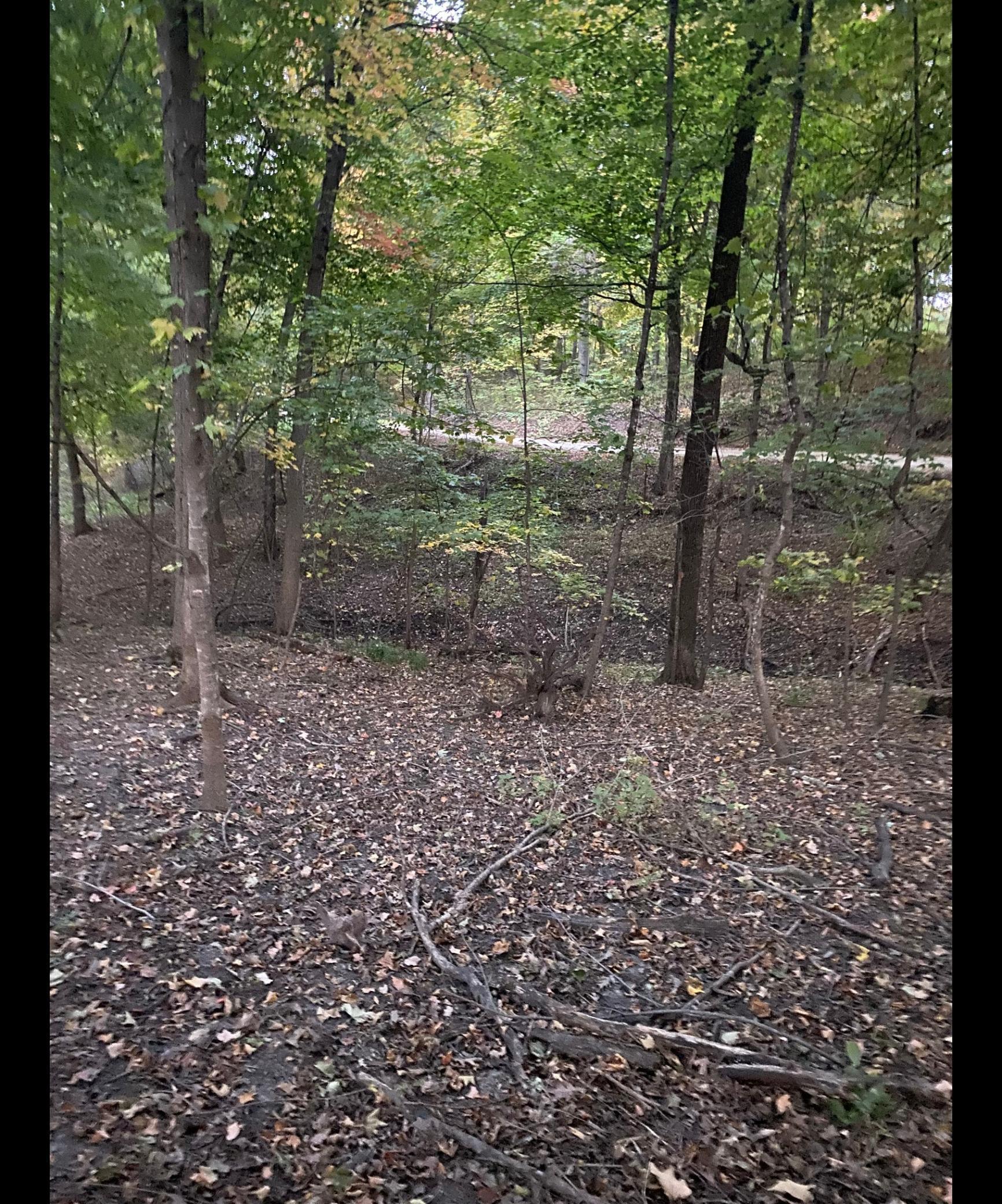 Tbd Tbd Tbd Mazeppa, MN 55956 - Photo 8 of 14