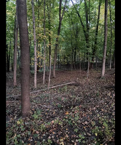 $179,990 | Tbd Tbd Tbd, Mazeppa, MN 55956