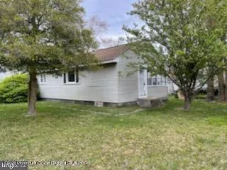 a view of a backyard with large trees
