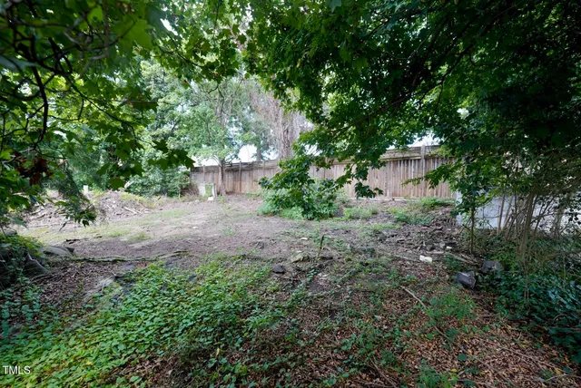 a view of a yard with plants and a large tree
