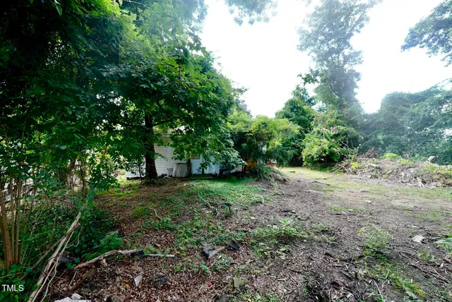a big yard with lots of green space and deers
