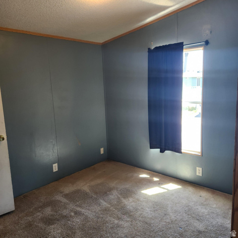 3760 Gold Ridge Drive, Unit 82 Magna, UT 84044 - Photo 24 of 29 Room featuring textured carpet flooring, painted wall panels, wood trim, and a window with a curtain rod