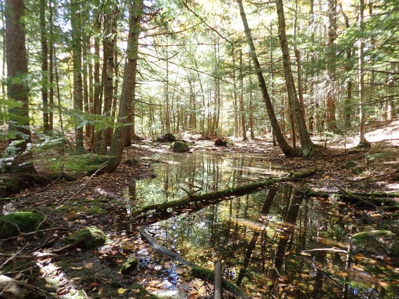 Pieters Road Andover, NH 03216 - Photo 14 of 14