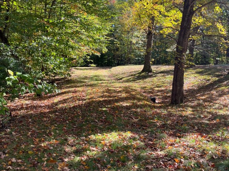 Pieters Road Andover, NH 03216 - Photo 6 of 14