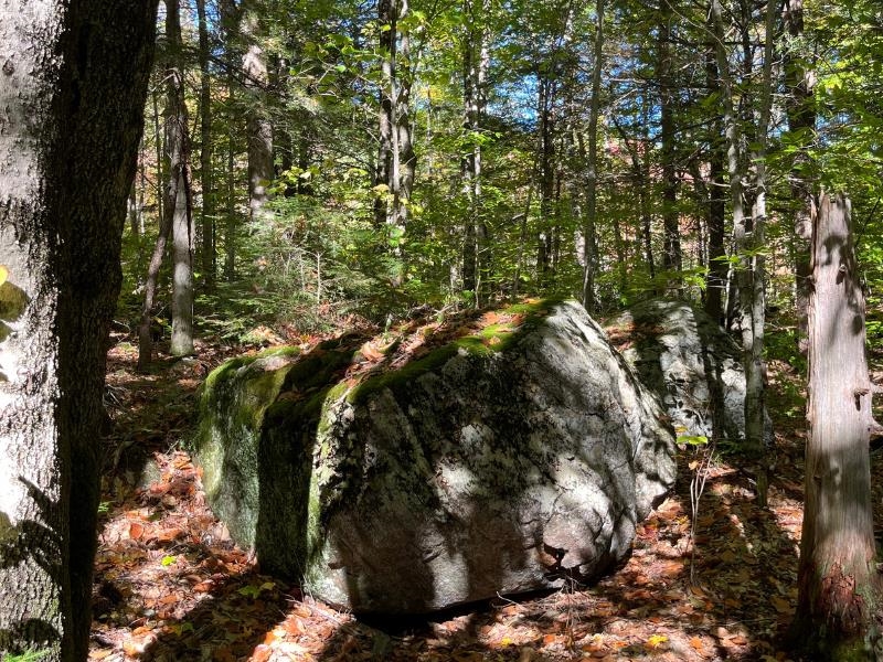 Pieters Road Andover, NH 03216 - Photo 7 of 14