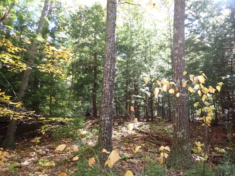 Pieters Road Andover, NH 03216 - Photo 10 of 14