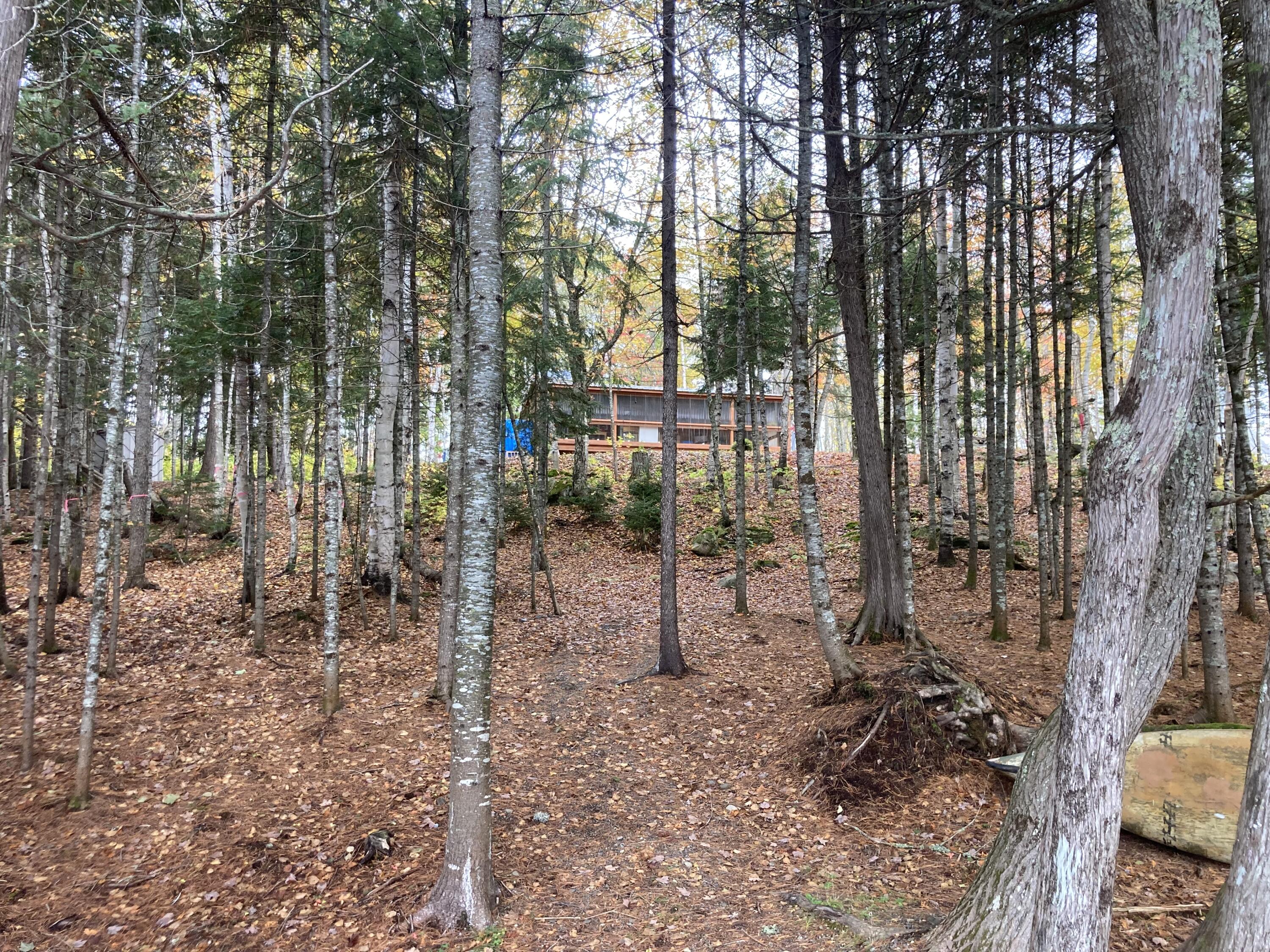 999 Upper Lapomkeag Road Oxbow, ME 04764 - Photo 31 of 41 View from Lake