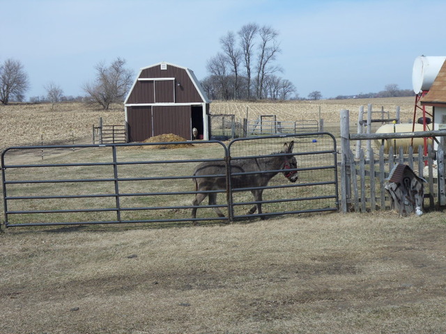 3N838 Meredith Road Maple Park, IL 60151 - Photo 22 of 25