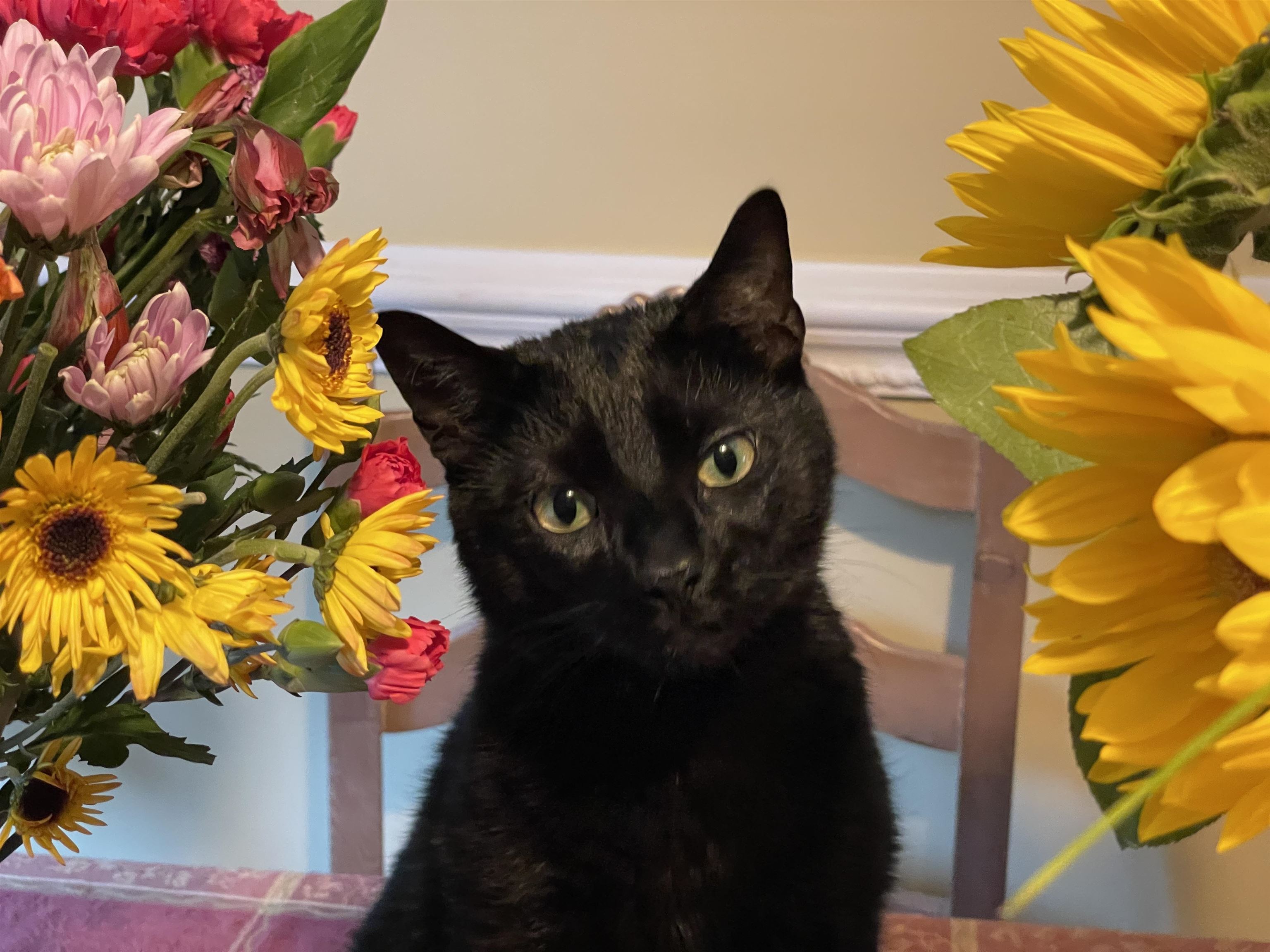 83 Hanover Street, Unit 310 Manchester, NH 03101 - Photo 47 of 47