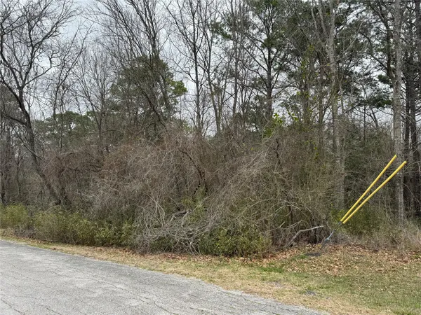 $10,000 | 2 Clearwater Circle, Coldspring, TX 77331