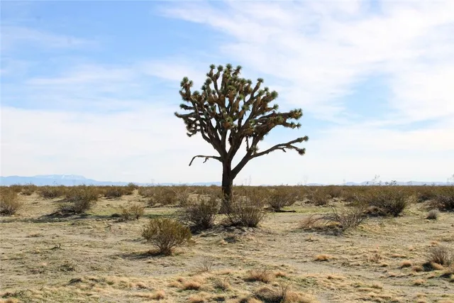 a view of a lake with a beach