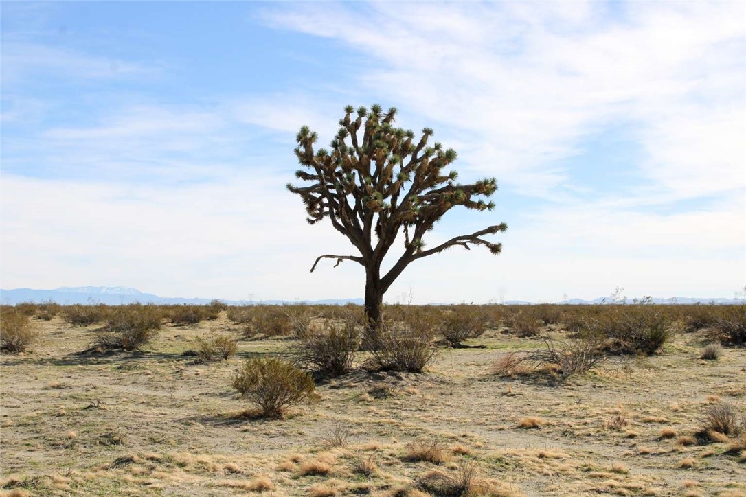 179937 Johnson Road Phelan, CA 92371 - Photo 1 of 16 a view of a lake with a beach