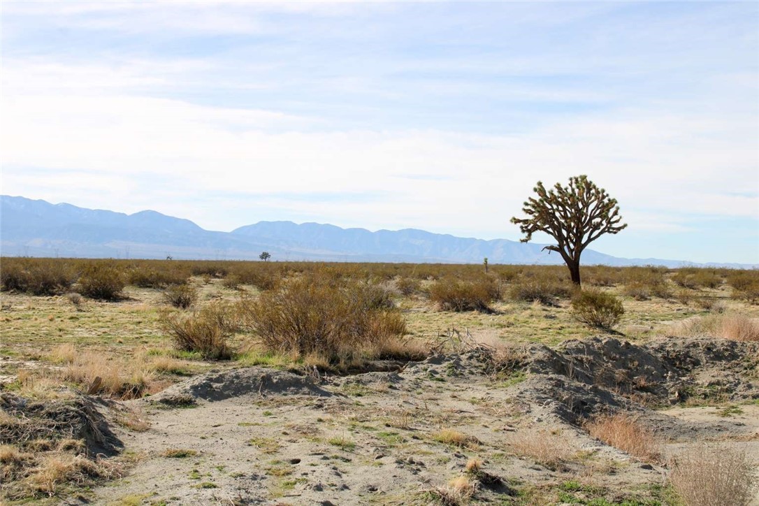 179937 Johnson Road Phelan, CA 92371 - Photo 4 of 16 a view of a lake with a beach