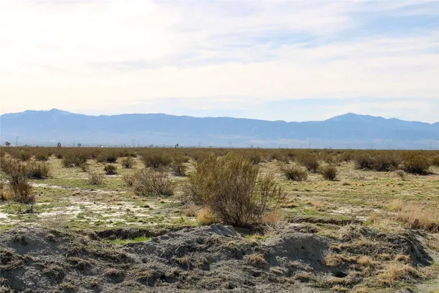 a view of beach and ocean