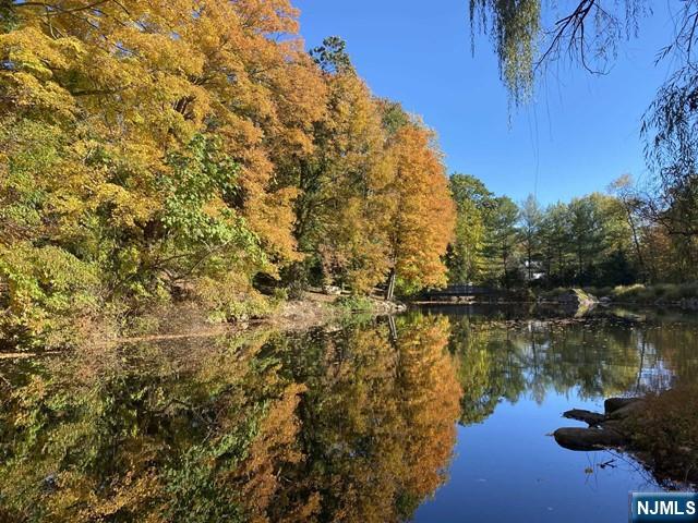 1055 High Mountain Road Franklin Lakes, NJ 07417 - Photo 29 of 42 a view of lake