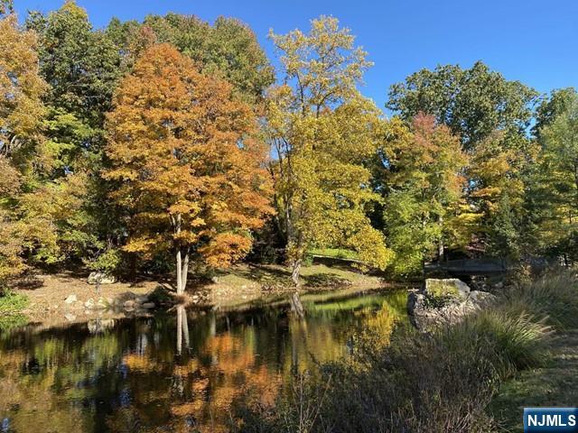 1055 High Mountain Road Franklin Lakes, NJ 07417 - Photo 30 of 42 a view of lake