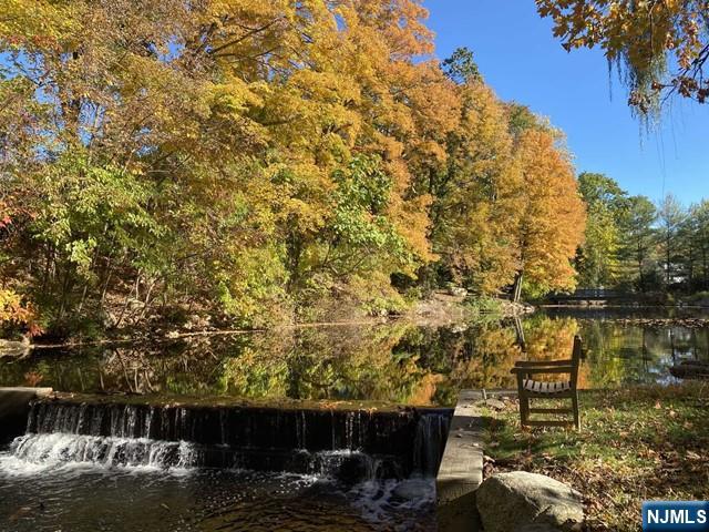 1055 High Mountain Road Franklin Lakes, NJ 07417 - Photo 4 of 42