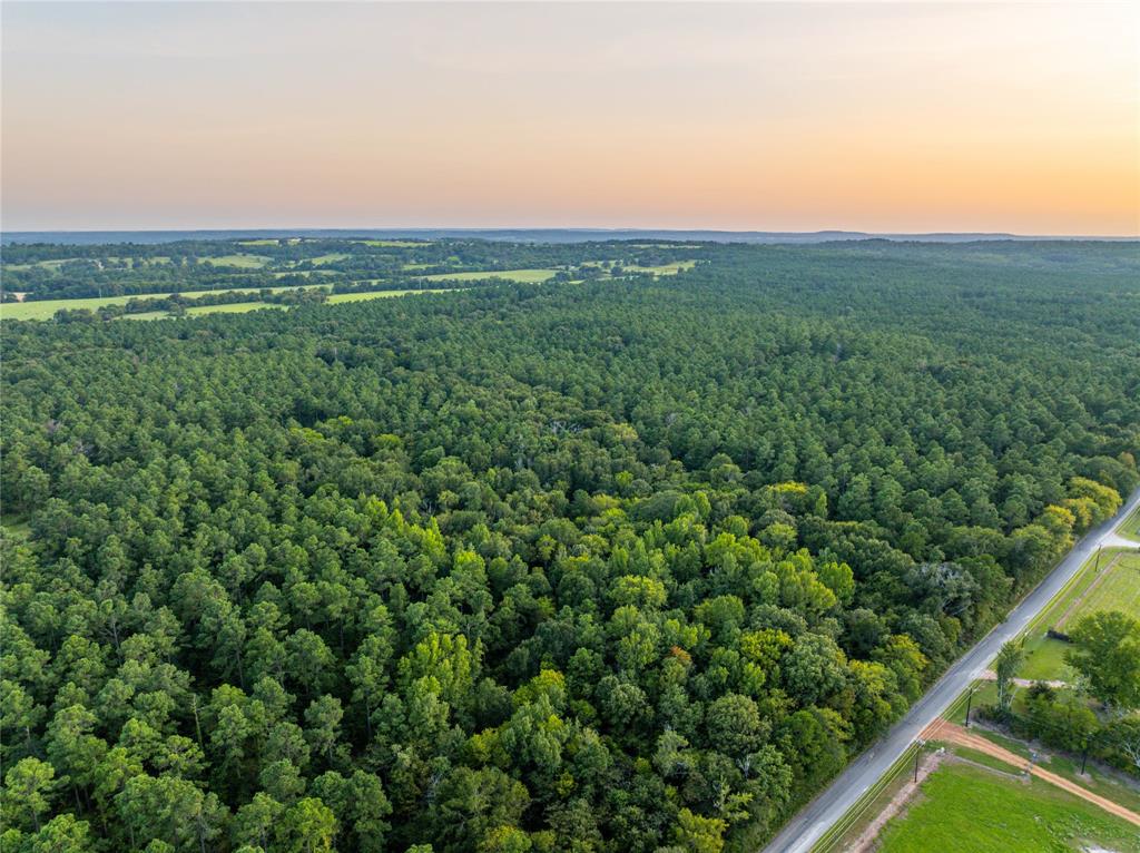 0 4222nd Frankston, TX 75763 - Photo 1 of 31 view of a city