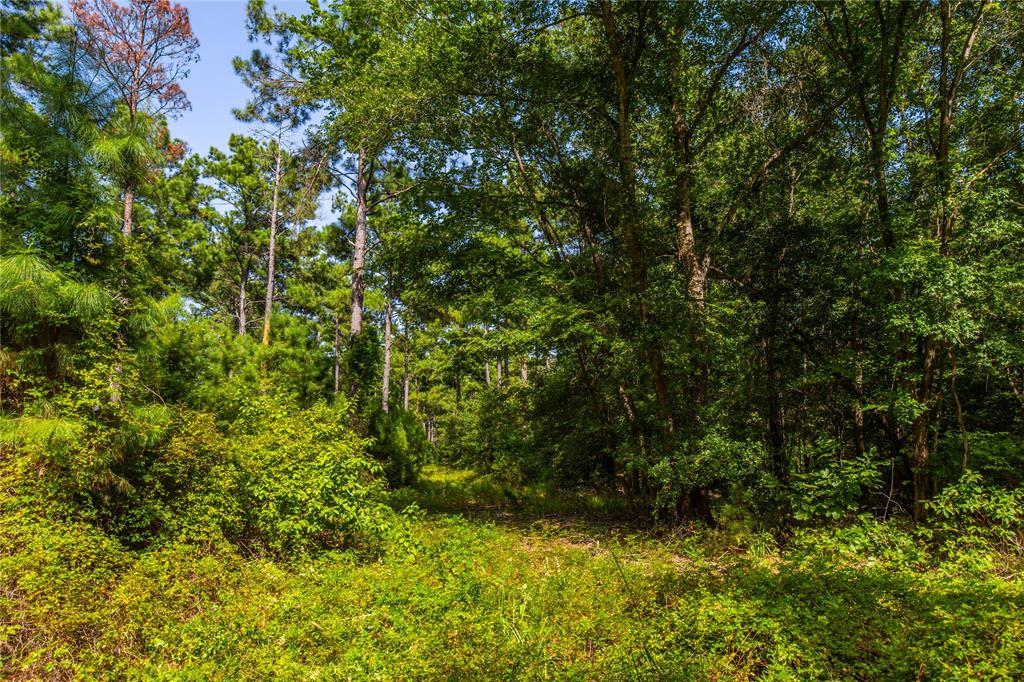 0 4222nd Frankston, TX 75763 - Photo 11 of 31 a view of outdoor space and a yard