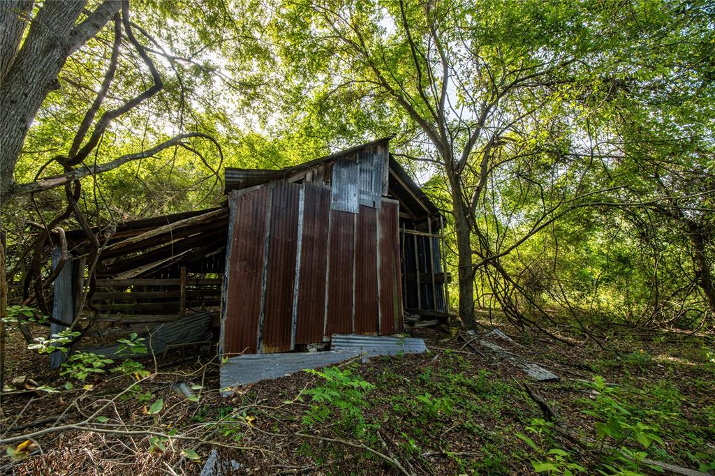 0 4222nd Frankston, TX 75763 - Photo 12 of 31 a view of backyard with potted plants and a large tree