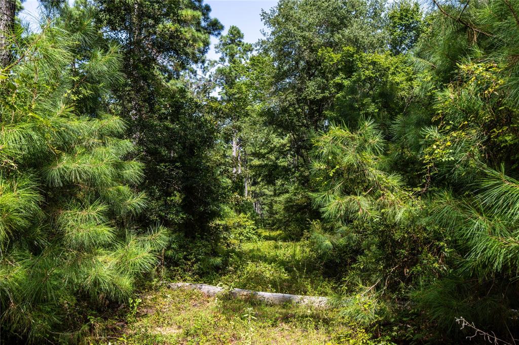 0 4222nd Frankston, TX 75763 - Photo 15 of 31 a view of a yard