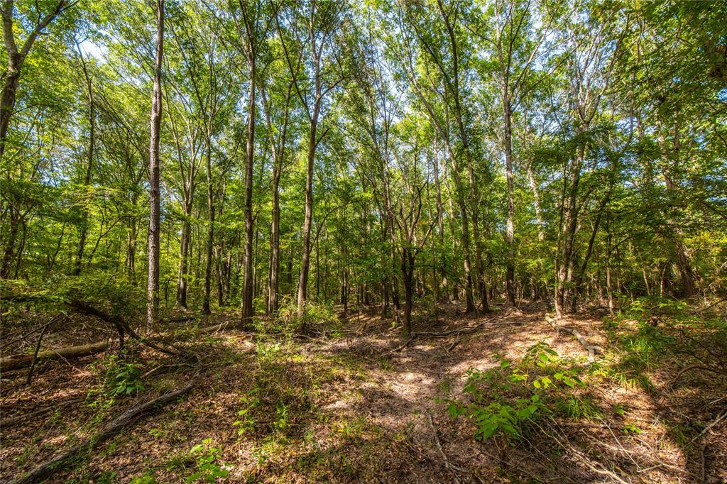 0 4222nd Frankston, TX 75763 - Photo 18 of 31 a view of outdoor space and trees