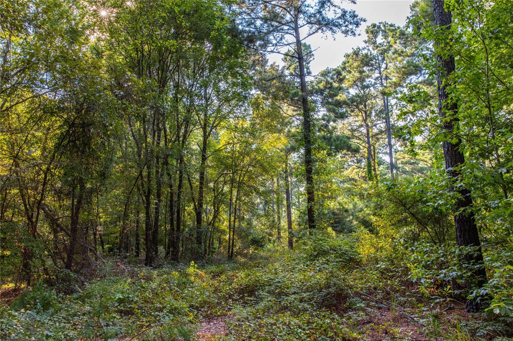 0 4222nd Frankston, TX 75763 - Photo 22 of 31 a view of outdoor space and trees