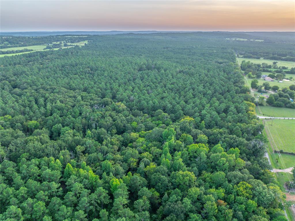 0 4222nd Frankston, TX 75763 - Photo 25 of 31 an aerial view of residential houses with outdoor space and trees