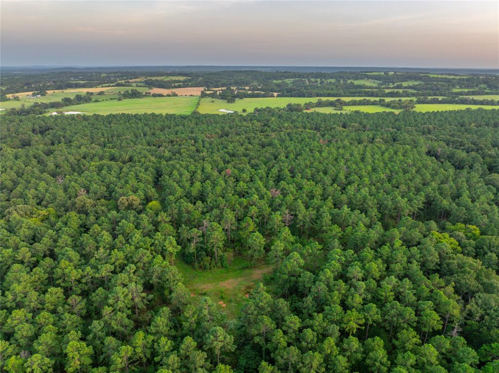 0 4222nd Frankston, TX 75763 - Photo 26 of 31 a view of an outdoor space and a lake view