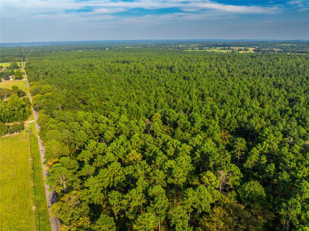 0 4222nd Frankston, TX 75763 - Photo 27 of 31 a view of a green field