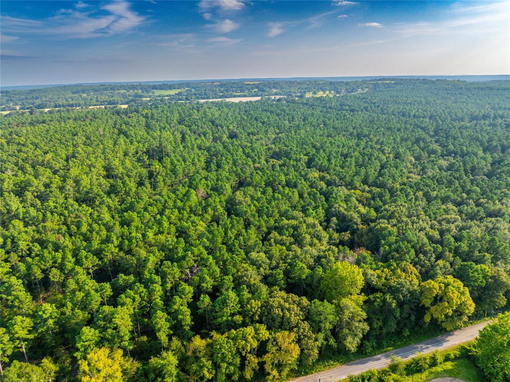 0 4222nd Frankston, TX 75763 - Photo 29 of 31 a view of a green field