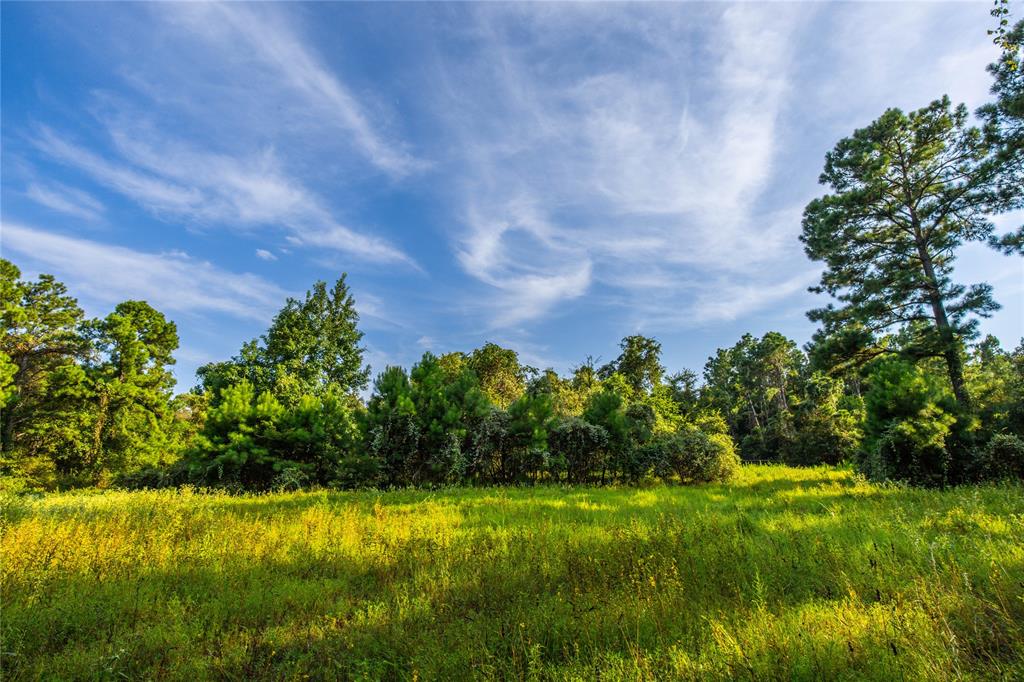 0 4222nd Frankston, TX 75763 - Photo 3 of 31 a view of a yard