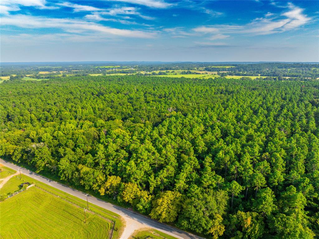 0 4222nd Frankston, TX 75763 - Photo 31 of 31 a view of yard with ocean view