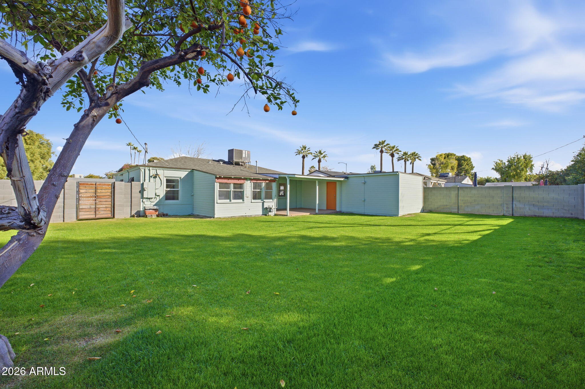 427 East Oregon Avenue Phoenix, AZ 85012 - Photo 21 of 32 a view of a big yard with plants and a large tree