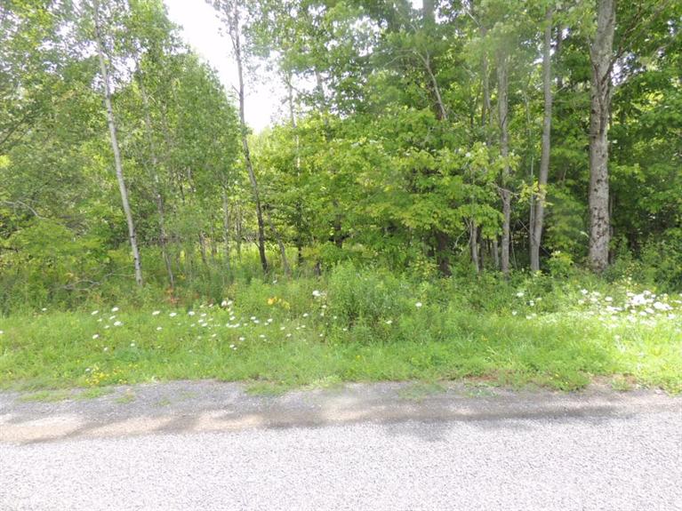 0 Case Road Bainbridge, NY 13733 - Photo 1 of 1 Gallery Image 1