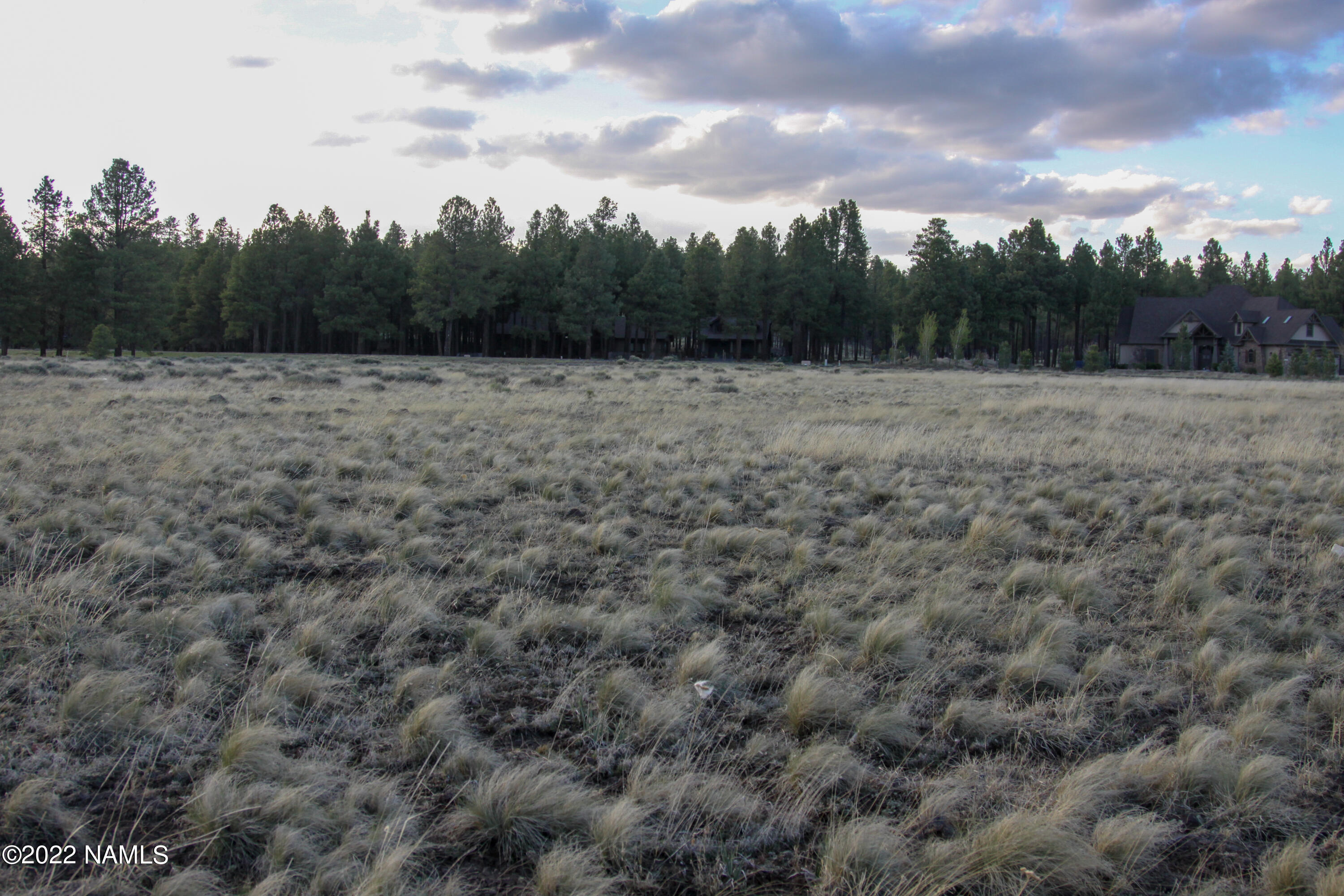 4540 Brackin Ranch Road Flagstaff, AZ 86001 - Photo 8 of 11 IMG_9881 keep